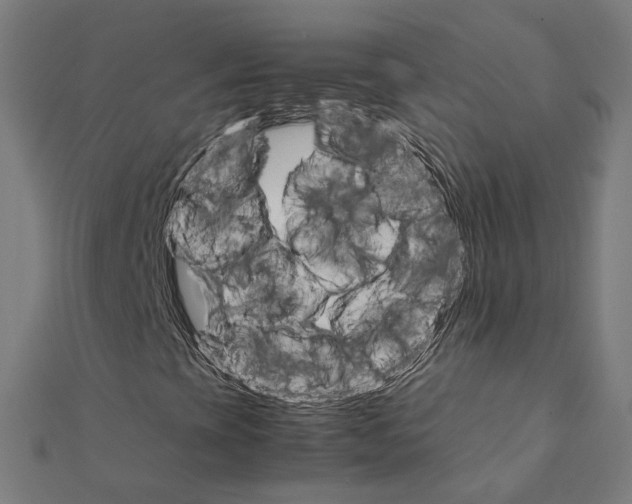 X0000111231393200907301236