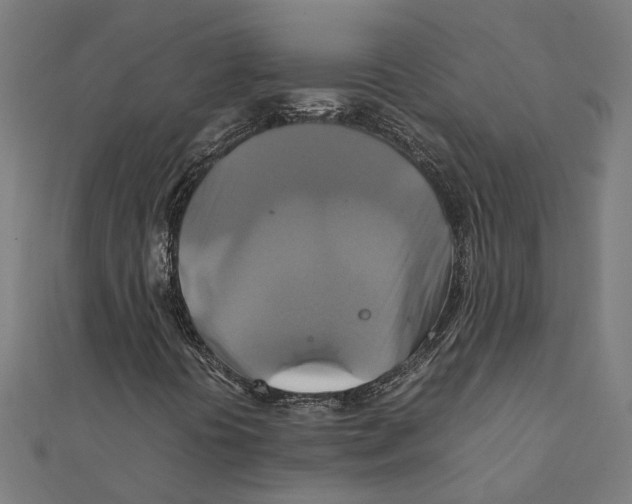 X0000111231394200907301236