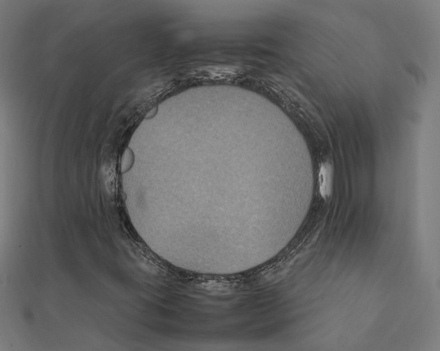 X0000111231395200907301237