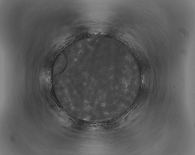 X0000111231396200907301237