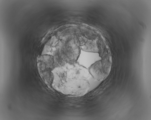 X0000111231397200907301237