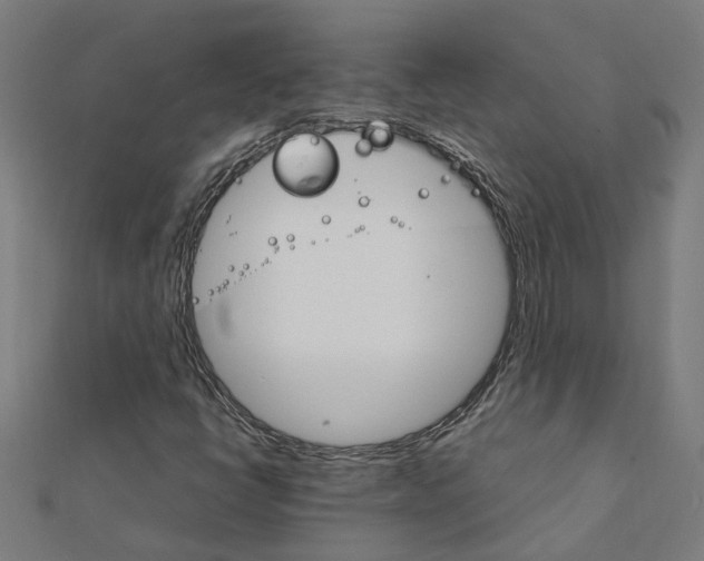 X0000111231398200907301237