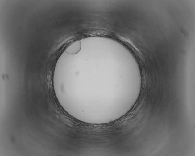 X0000111231399200907301237