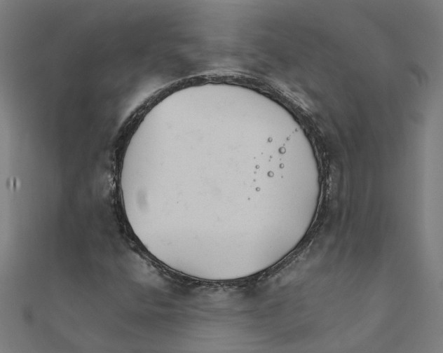 X0000111231400200907301237