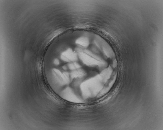 X0000111231401200907301237