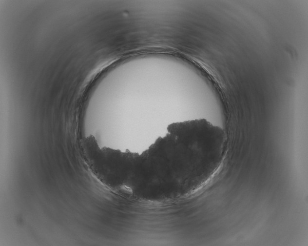 X0000111231402200907301237