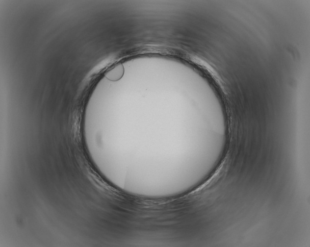 X0000111231403200907301237