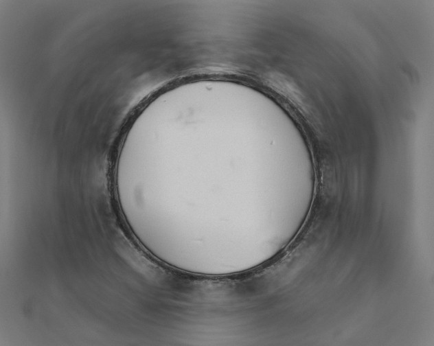 X0000111231404200907301237