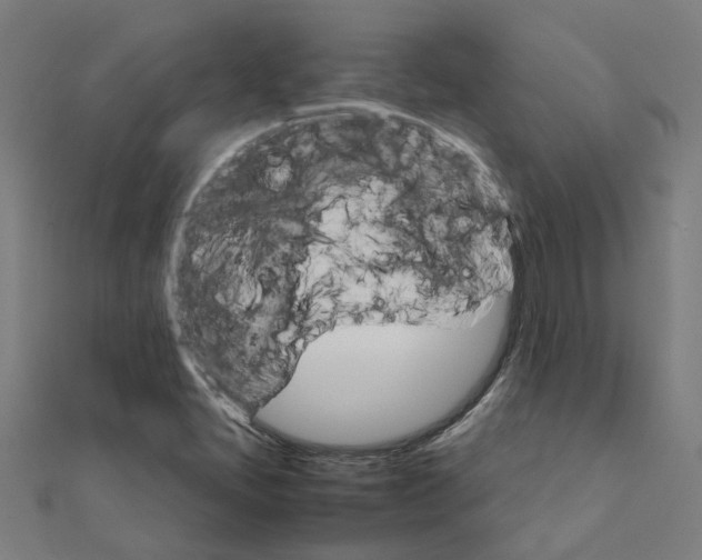 X0000111231405200907301237