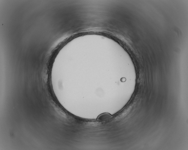 X0000111231406200907301237