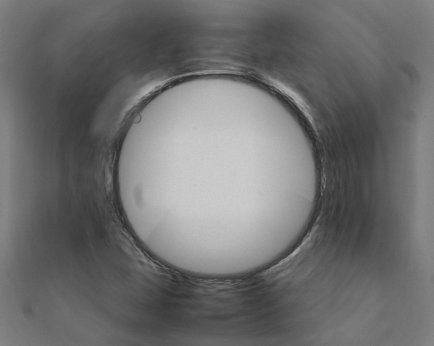 X0000111231407200907301237