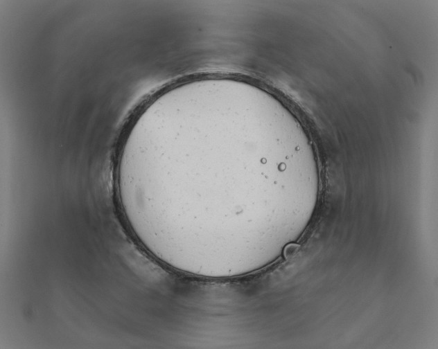 X0000111231408200907301237