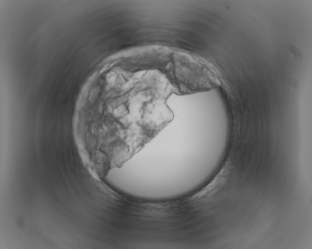 X0000111231409200907301237