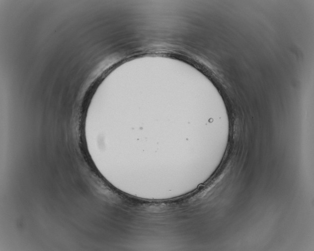 X0000111231410200907301237