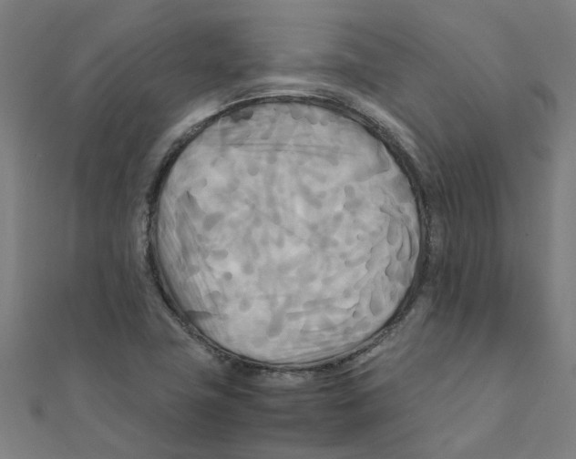 X0000111231411200907301237