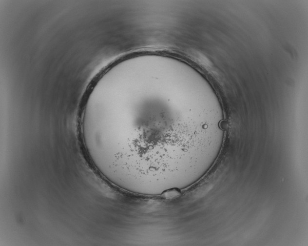 X0000111231412200907301237