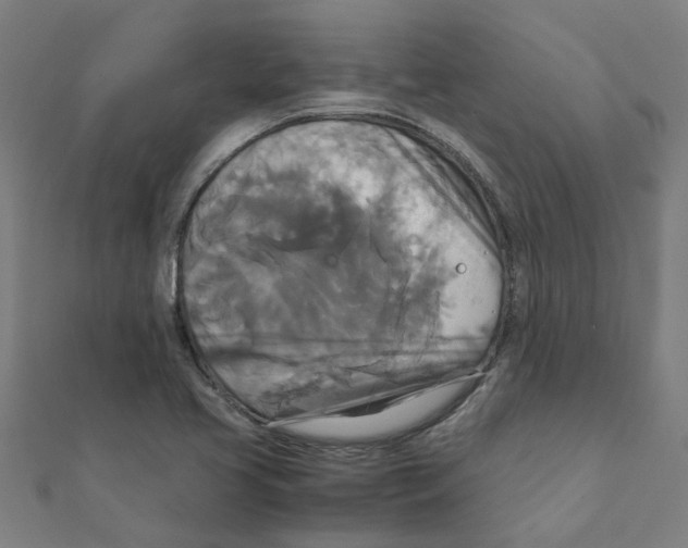 X0000111231413200907301237