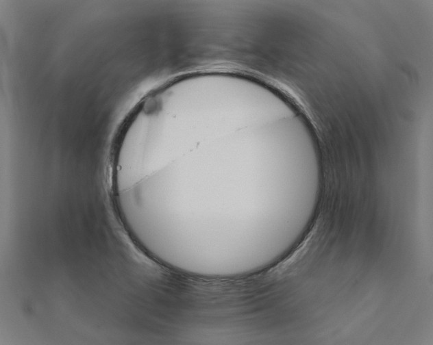 X0000111231414200907301237