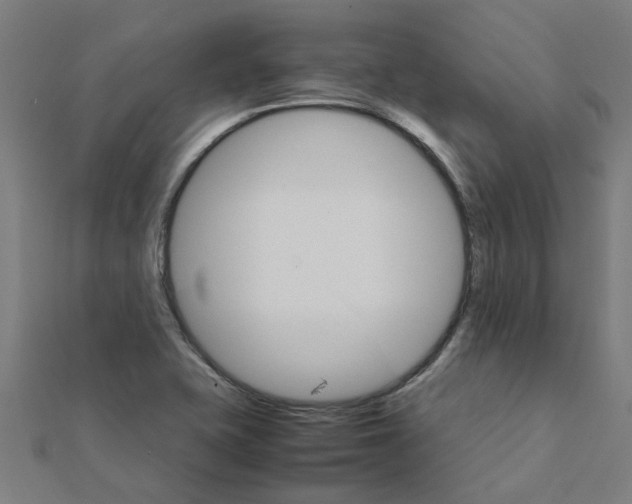 X0000111231415200907301237