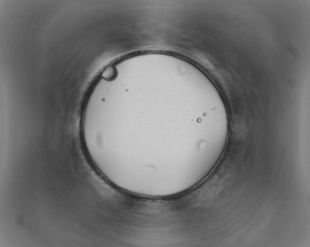 X0000111231416200907301237