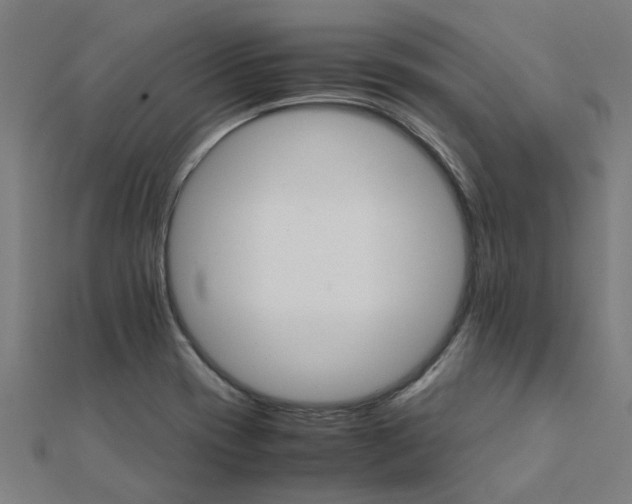 X0000111231417200907301237