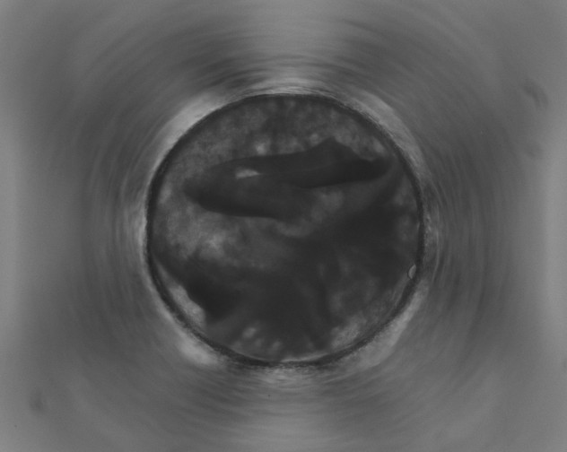 X0000111231418200907301237