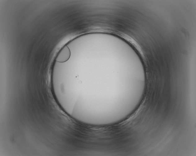 X0000111231419200907301237