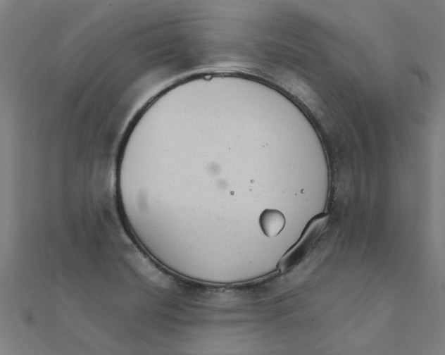 X0000111231420200907301237