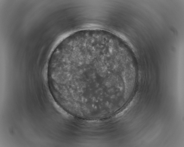 X0000111231421200907301237