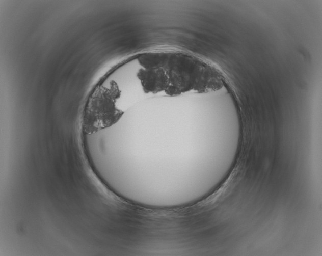 X0000111231422200907301237