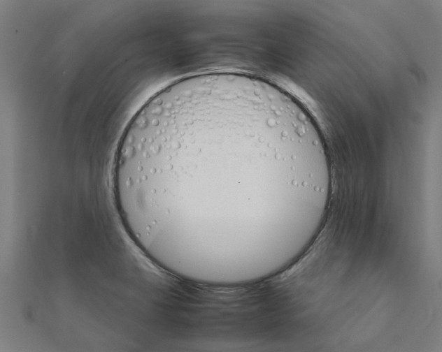 X0000111231423200907301237