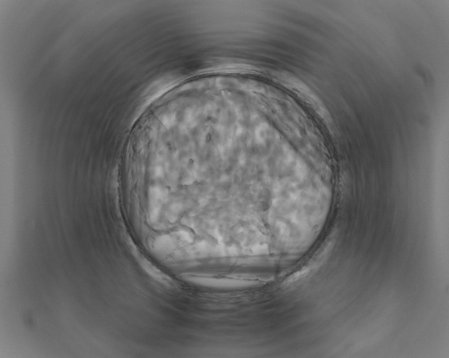 X0000111231425200907301237