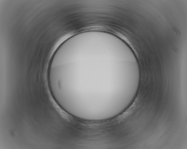 X0000111231426200907301237