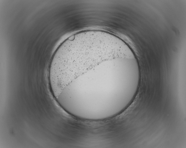 X0000111231428200907301237