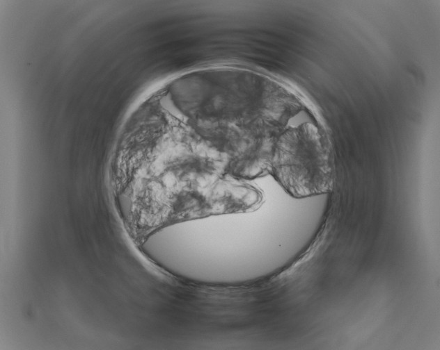 X0000111231429200907301237