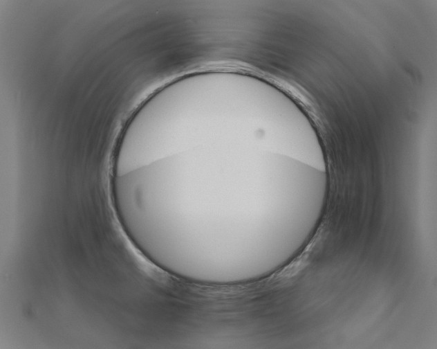 X0000111231430200907301237