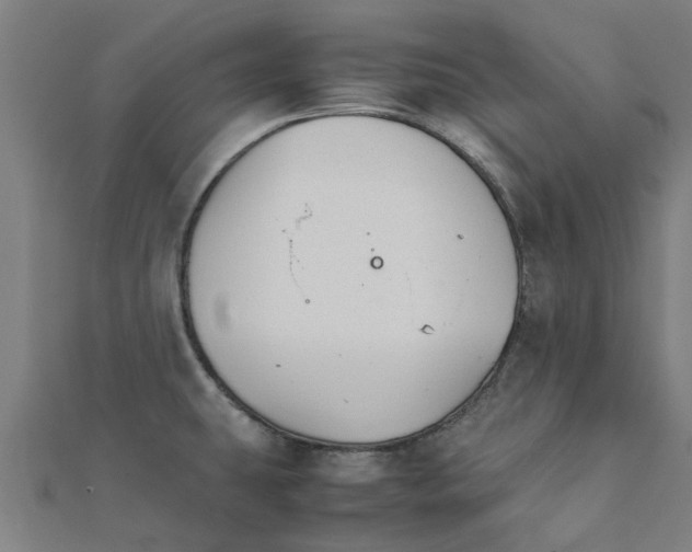 X0000111231431200907301237