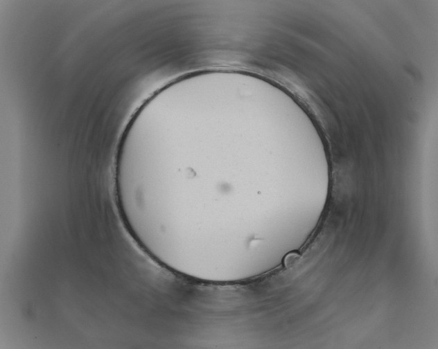 X0000111231432200907301237