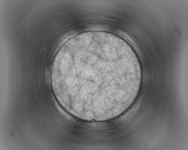 X0000111231433200907301237