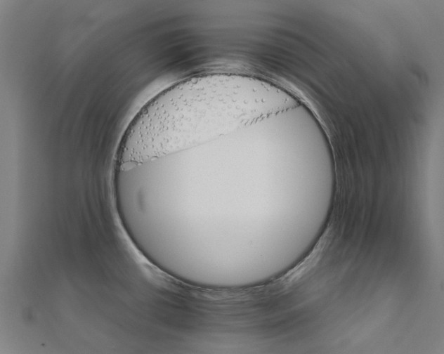 X0000111231434200907301237