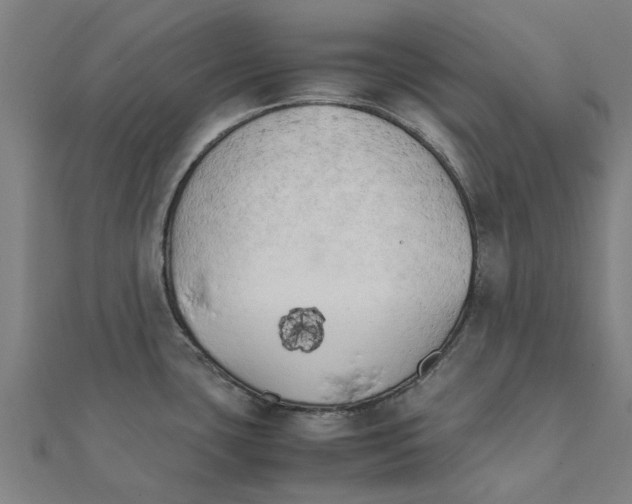 X0000111231435200907301237