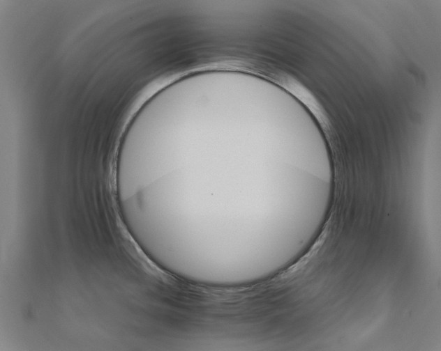 X0000111231436200907301237