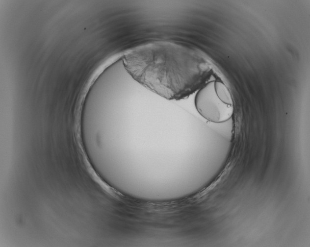 X0000111231437200907301237