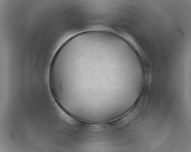 X0000111231438200907301237