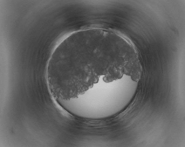 X0000111231439200907301237