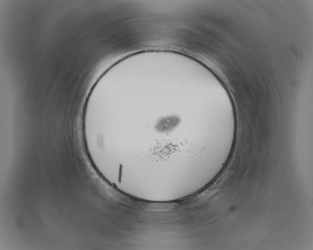 X0000111231440200907301237