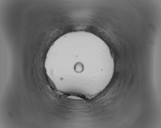 X0000111231441200907301236