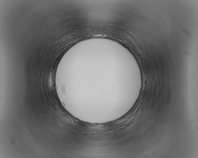 X0000111231442200907301236