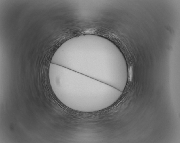 X0000111231443200907301236