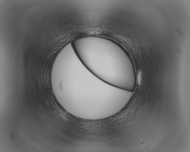 X0000111231444200907301236